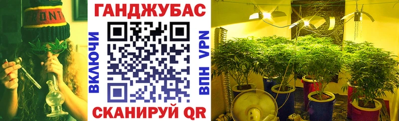 как найти закладки  mega вход  Конопля семена  Сафоново 